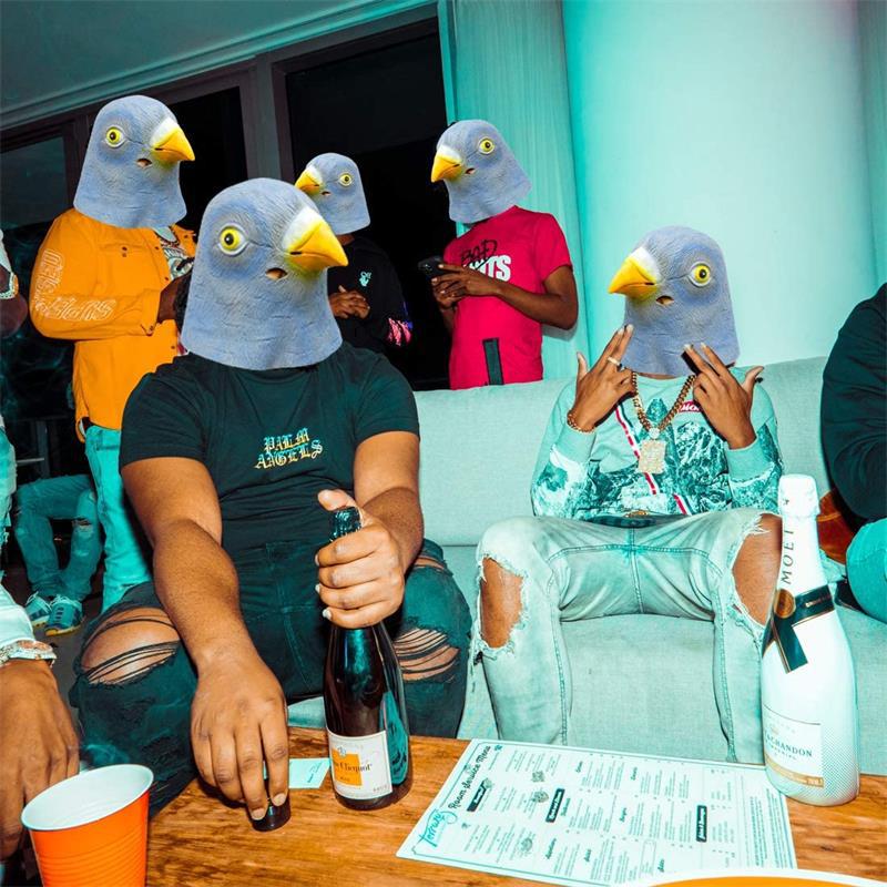Pigeon mask costume novelty Ha - Skincare Pigeon avis et prix
