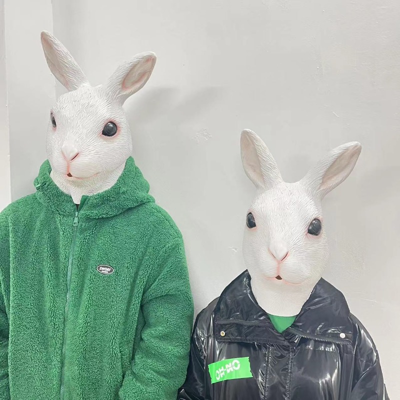 Put on Masks, Animal Headgear, - Skincare Pigeon avis et prix